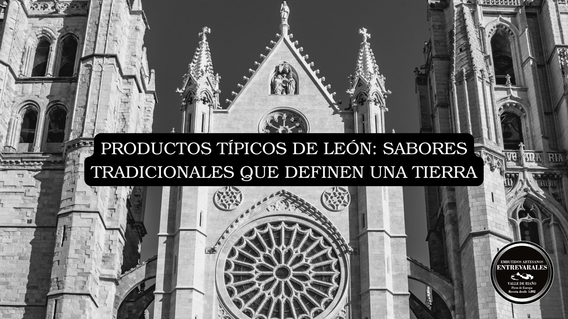 productos de leon